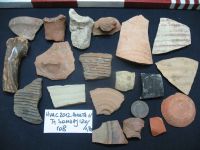 Cronica Cercetărilor Arheologice din România, Campania 2012. Raportul nr. 26