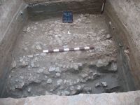 Cronica Cercetărilor Arheologice din România, Campania 2012. Raportul nr. 26