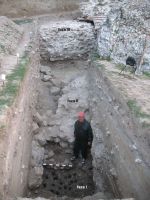 Cronica Cercetărilor Arheologice din România, Campania 2012. Raportul nr. 26