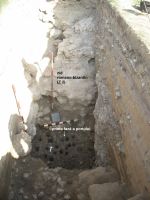 Cronica Cercetărilor Arheologice din România, Campania 2012. Raportul nr. 26