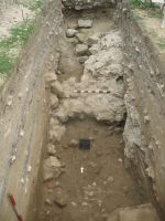 Cronica Cercetărilor Arheologice din România, Campania 2012. Raportul nr. 26