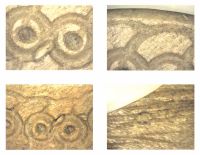 Cronica Cercetărilor Arheologice din România, Campania 2012. Raportul nr. 28.<br /> Sectorul planse-IMDA.