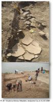 Cronica Cercetărilor Arheologice din România, Campania 2012. Raportul nr. 42