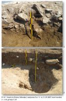 Cronica Cercetărilor Arheologice din România, Campania 2012. Raportul nr. 42