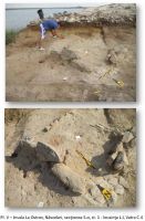 Cronica Cercetărilor Arheologice din România, Campania 2012. Raportul nr. 42