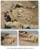 Cronica Cercetărilor Arheologice din România, Campania 2012. Raportul nr. 42