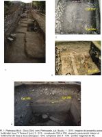 Cronica Cercetărilor Arheologice din România, Campania 2012. Raportul nr. 51