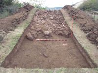 Cronica Cercetărilor Arheologice din România, Campania 2012. Raportul nr. 55