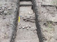 Cronica Cercetărilor Arheologice din România, Campania 2012. Raportul nr. 56