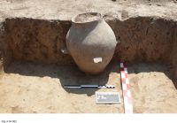 Cronica Cercetărilor Arheologice din România, Campania 2012. Raportul nr. 61