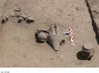 Cronica Cercetărilor Arheologice din România, Campania 2012. Raportul nr. 61