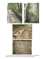 Cronica Cercetărilor Arheologice din România, Campania 2012. Raportul nr. 68