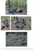 Cronica Cercetărilor Arheologice din România, Campania 2012. Raportul nr. 69