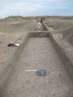 Cronica Cercetărilor Arheologice din România, Campania 2012. Raportul nr. 75
