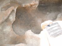 Cronica Cercetărilor Arheologice din România, Campania 2012. Raportul nr. 75
