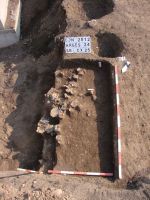 Cronica Cercetărilor Arheologice din România, Campania 2012. Raportul nr. 86