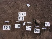 Cronica Cercetărilor Arheologice din România, Campania 2012. Raportul nr. 86