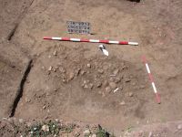 Cronica Cercetărilor Arheologice din România, Campania 2012. Raportul nr. 86