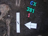 Cronica Cercetărilor Arheologice din România, Campania 2012. Raportul nr. 86