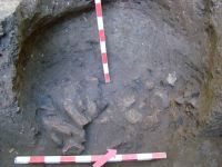 Cronica Cercetărilor Arheologice din România, Campania 2012. Raportul nr. 88