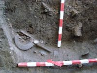 Cronica Cercetărilor Arheologice din România, Campania 2012. Raportul nr. 88