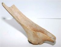 Cronica Cercetărilor Arheologice din România, Campania 2012. Raportul nr. 89