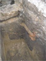 Cronica Cercetărilor Arheologice din România, Campania 2012. Raportul nr. 92