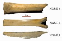 Cronica Cercetărilor Arheologice din România, Campania 2012. Raportul nr. 95.<br /> Sectorul plansa-IMDA.