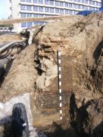 Cronica Cercetărilor Arheologice din România, Campania 2012. Raportul nr. 100