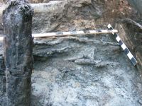 Cronica Cercetărilor Arheologice din România, Campania 2012. Raportul nr. 100