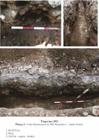 Cronica Cercetărilor Arheologice din România, Campania 2012. Raportul nr. 105