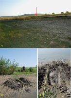 Cronica Cercetărilor Arheologice din România, Campania 2012. Raportul nr. 113.2