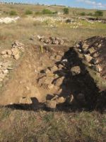 Cronica Cercetărilor Arheologice din România, Campania 2013. Raportul nr. 2