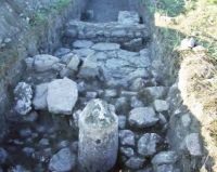 Cronica Cercetărilor Arheologice din România, Campania 2013. Raportul nr. 2