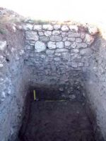 Cronica Cercetărilor Arheologice din România, Campania 2013. Raportul nr. 3