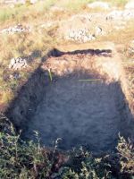 Cronica Cercetărilor Arheologice din România, Campania 2013. Raportul nr. 3