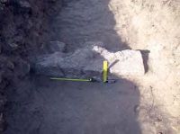 Cronica Cercetărilor Arheologice din România, Campania 2013. Raportul nr. 3