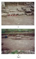 Cronica Cercetărilor Arheologice din România, Campania 2013. Raportul nr. 5