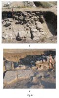 Cronica Cercetărilor Arheologice din România, Campania 2013. Raportul nr. 5