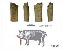 Cronica Cercetărilor Arheologice din România, Campania 2013. Raportul nr. 7