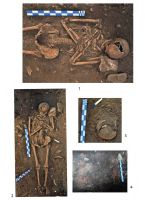 Cronica Cercetărilor Arheologice din România, Campania 2013. Raportul nr. 20