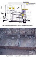 Cronica Cercetărilor Arheologice din România, Campania 2013. Raportul nr. 21.<br /> Sectorul 021-5217.