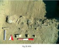 Cronica Cercetărilor Arheologice din România, Campania 2013. Raportul nr. 21.<br /> Sectorul 021-5217.