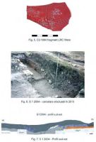 Cronica Cercetărilor Arheologice din România, Campania 2013. Raportul nr. 21.<br /> Sectorul 021-5217.