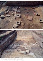 Cronica Cercetărilor Arheologice din România, Campania 2013. Raportul nr. 28