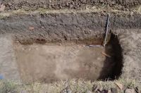 Cronica Cercetărilor Arheologice din România, Campania 2013. Raportul nr. 29.<br /> Sectorul 029-5158-sectorul-de-nord.