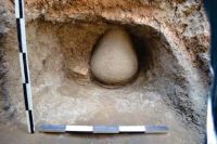 Cronica Cercetărilor Arheologice din România, Campania 2013. Raportul nr. 29.<br /> Sectorul 029-5158-sectorul-de-nord.