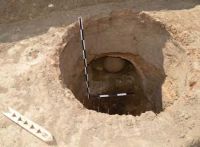 Cronica Cercetărilor Arheologice din România, Campania 2013. Raportul nr. 29.<br /> Sectorul 029-5158-sectorul-de-nord.