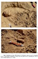 Cronica Cercetărilor Arheologice din România, Campania 2013. Raportul nr. 31