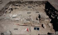 Cronica Cercetărilor Arheologice din România, Campania 2013. Raportul nr. 37